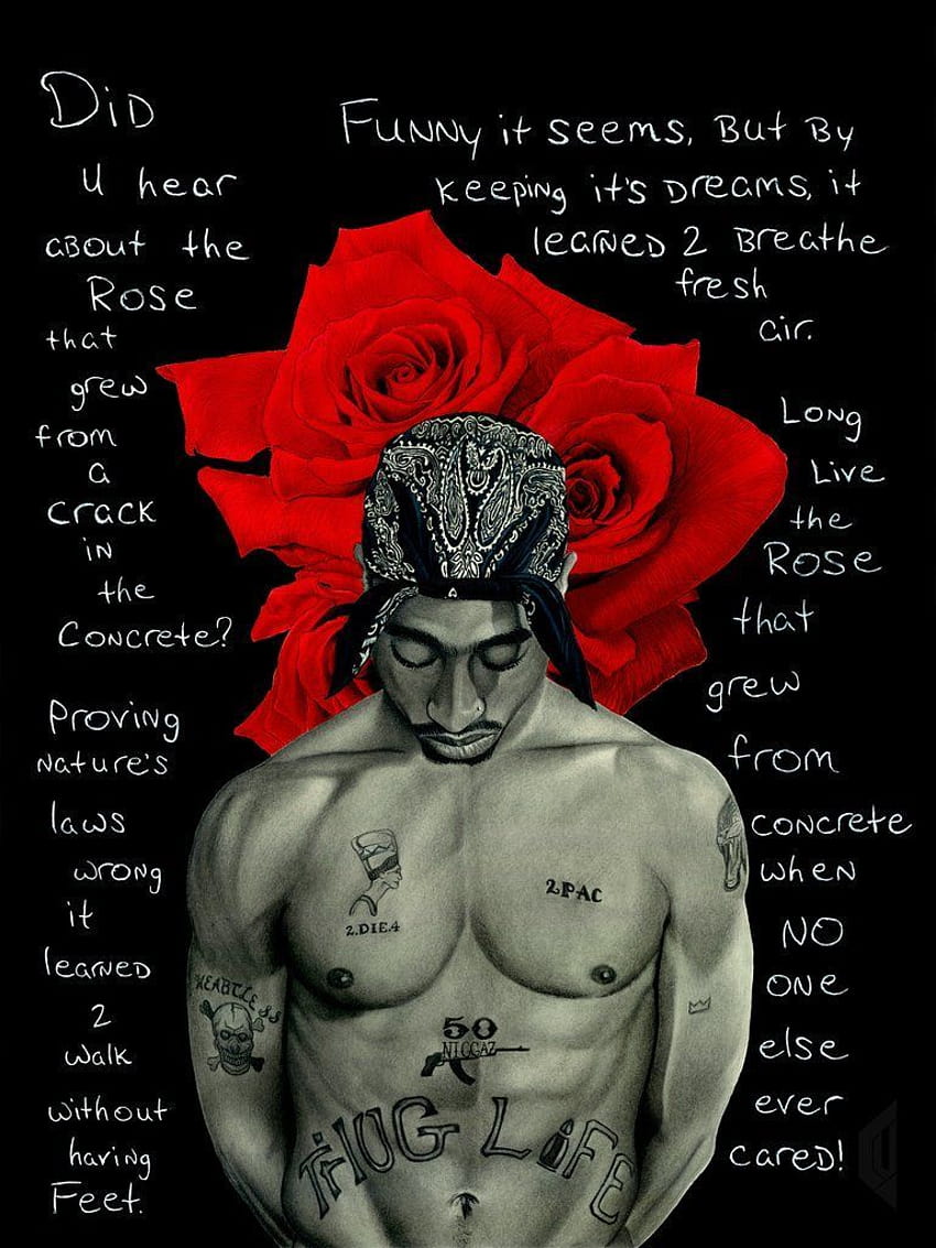 The Rose That Grew From Concrete, tupac quotes iphone HD phone wallpaper