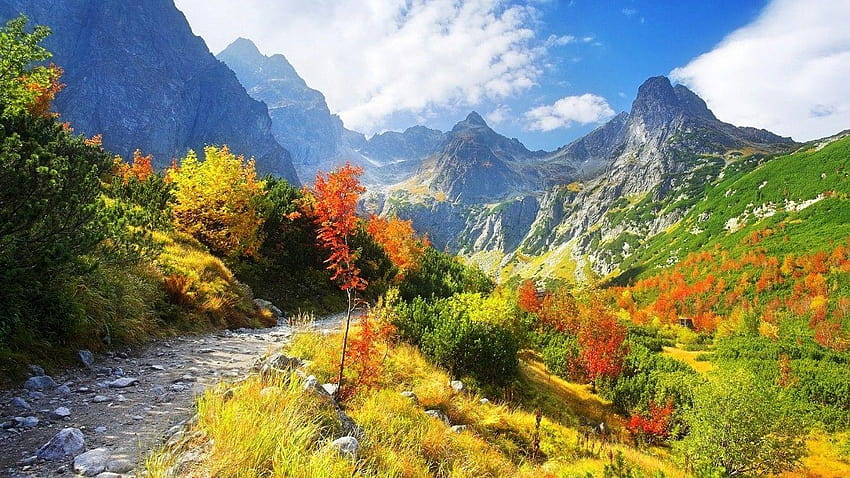 Mountain: Colors Scenic Canyon Mountains Sky Glory Fall Autumn HD wallpaper