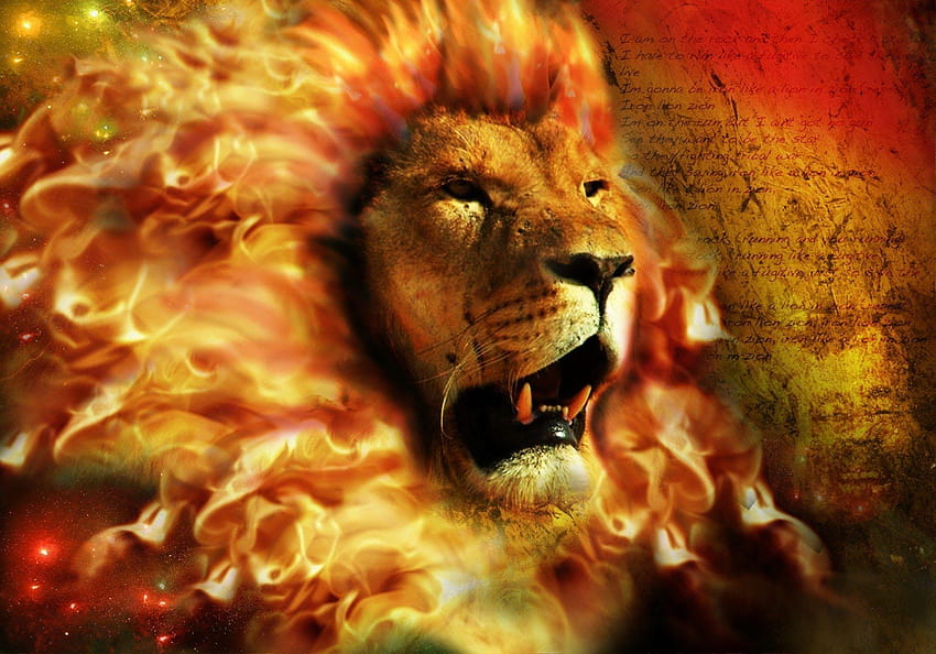 All praise The Lion Creator Of The World, fire lion HD wallpaper