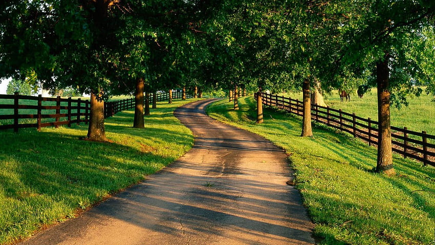 Country Summer Scenes, country scenes HD wallpaper