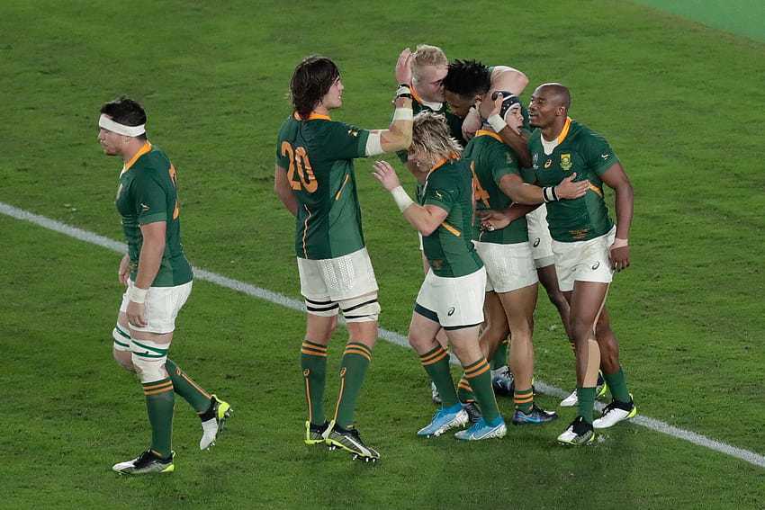 Rugby World Cup Final: South Africa Crushes England, springboks 1995 HD wallpaper