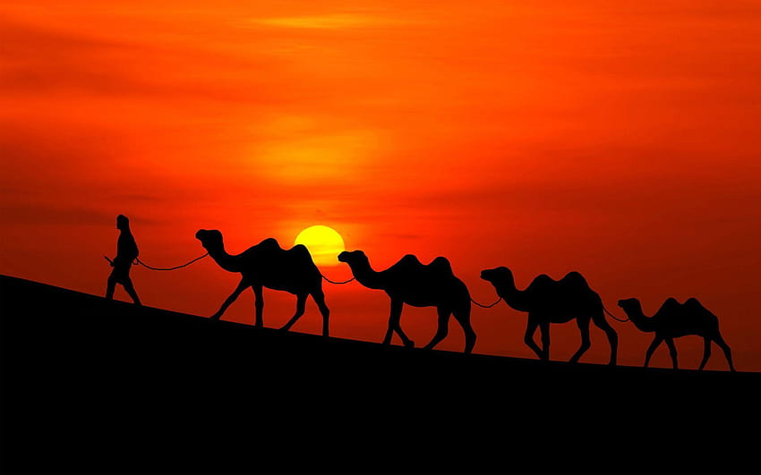 Arabian nights mobile HD wallpaper | Pxfuel