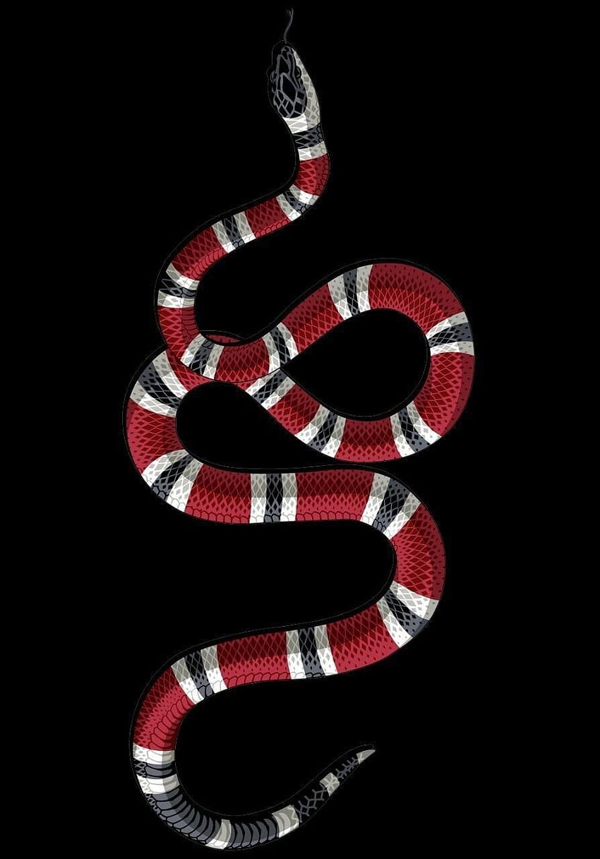 グッチのヘビ、ヘビのロゴ HD電話の壁紙