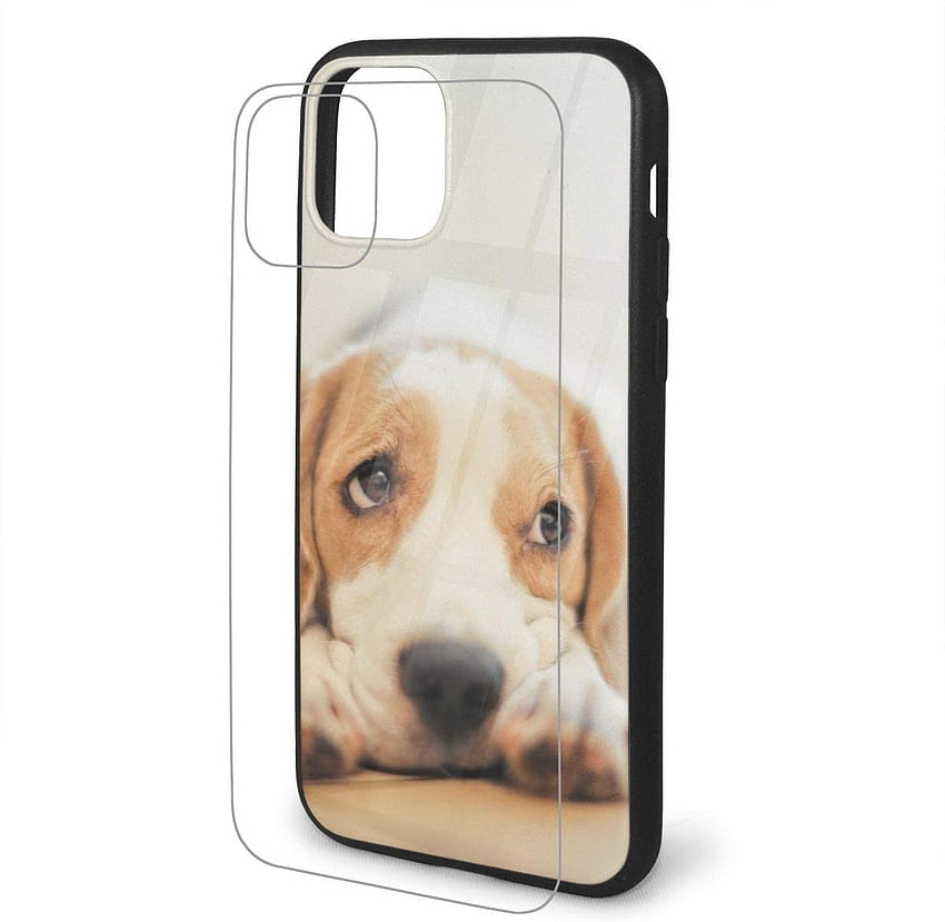 iPhone 11 Case, Beagles Pattern Design Tempered Glass Back Cover and Shockproof Anti HD wallpaper