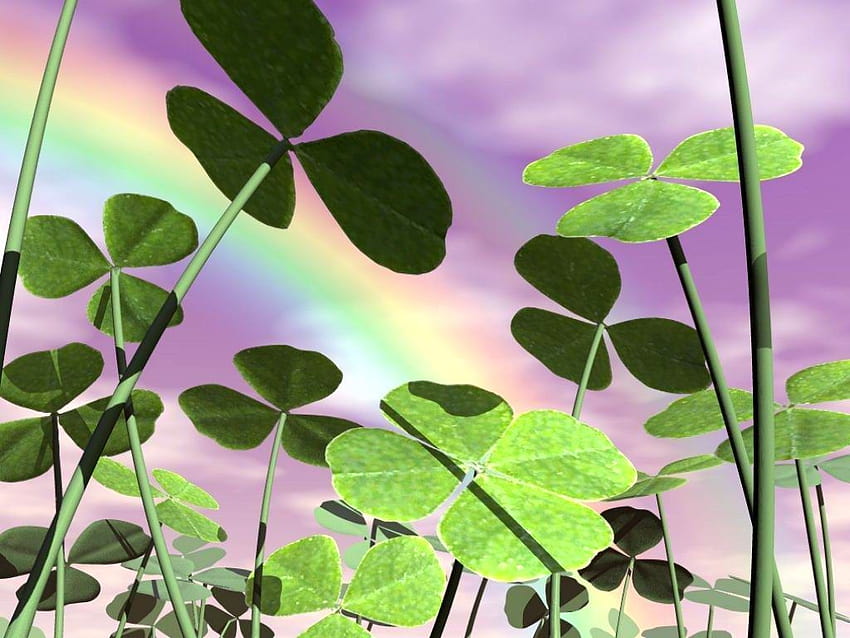 Rainbow and four leaf clover, rainbow st patricks day HD wallpaper