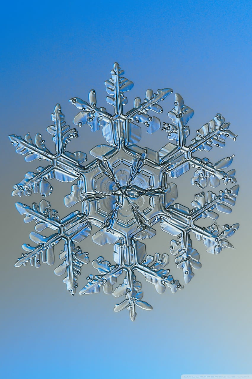 Real Snowflake Under Microscope Ultra Backgrounds for U TV : & UltraWide & Laptop : Tablet : Smartphone, microscopic phone HD phone wallpaper