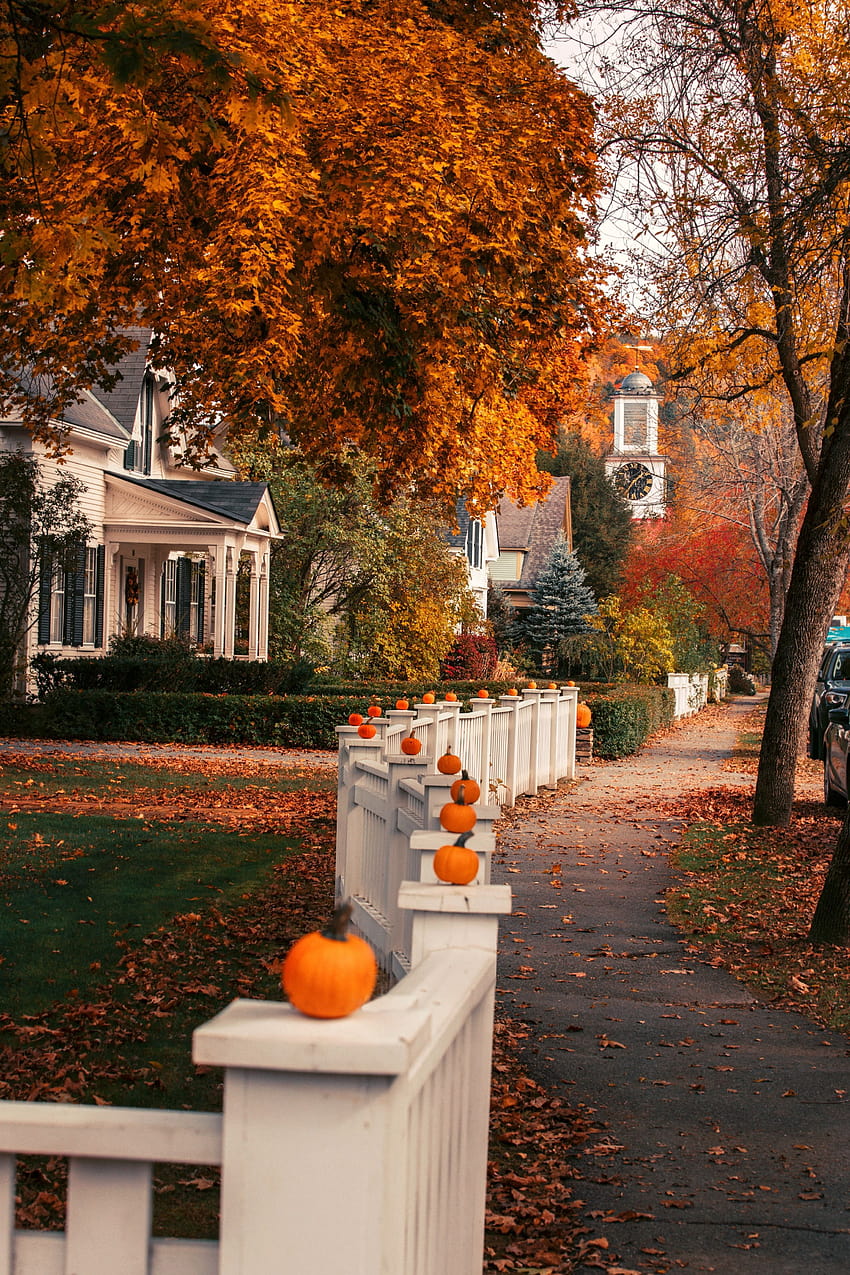 1920x1080px-1080p-free-download-small-town-charm-autumn-town-hd