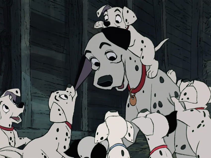 10 Things You Probably Didn't Know About 101 Dalmatians, one hundred and one dalmatians HD wallpaper