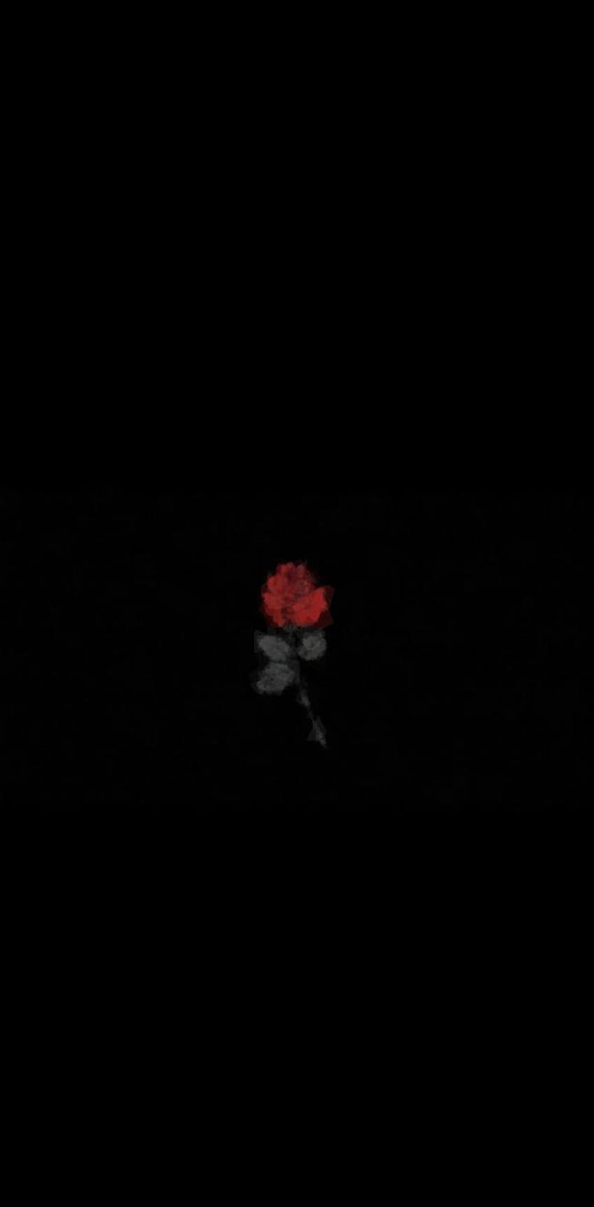 Dying rose oleh pine_a_pole wallpaper ponsel HD