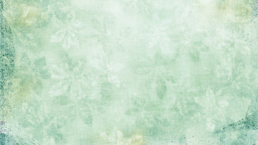 Green Aesthetic Backgrounds, cute spring sage green HD wallpaper