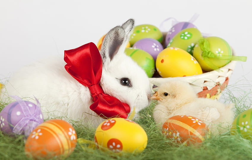 holiday, basket, rabbit, Easter, weed, chicken, painted eggs , section праздники, easter rabbit computer HD wallpaper