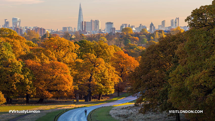 Virtually London: Zoom backgrounds, richmond park london HD wallpaper