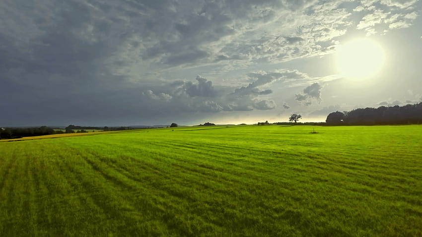 美しい平地草原牧草地緑の草原田園風景空中前進運動農業自然地平線劇的な曇り空、田舎の草原風景 高画質の壁紙
