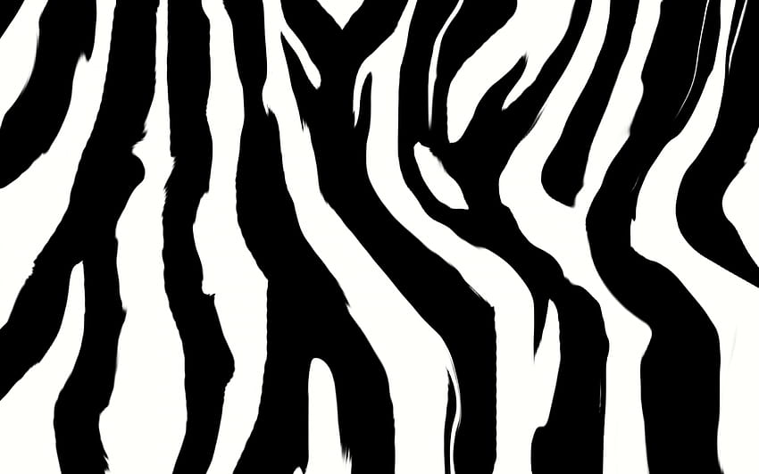 black zebra print HD wallpaper