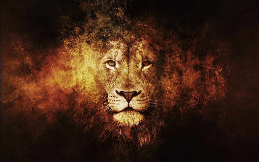 Lion de Juda, lion de la tribu de Juda Fond d'écran HD