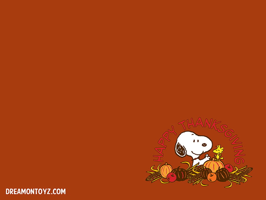Charlie Brown thanksgiving HD wallpaper  Peakpx
