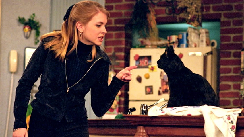 Where Is the 'Sabrina the Teenage Witch' Cast Today? HD wallpaper