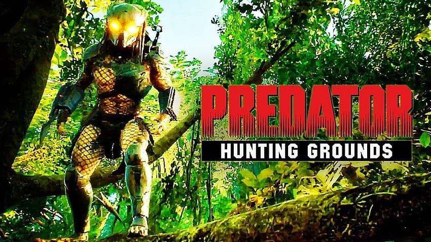Gamescom] Predator Hunting Ground montre enfin ses griffes, predator hunting grounds HD wallpaper