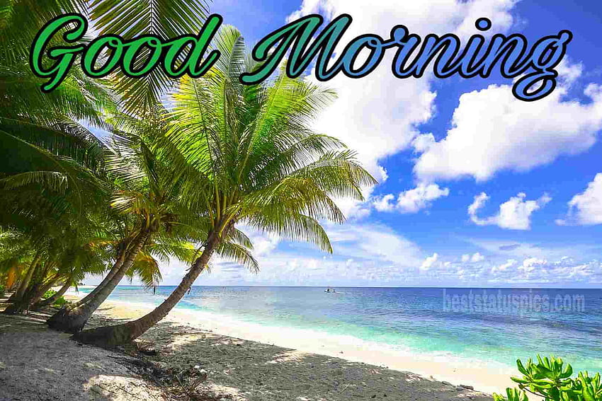 91 Beautiful Good Morning Nature Pics [2021], summer good morning HD wallpaper