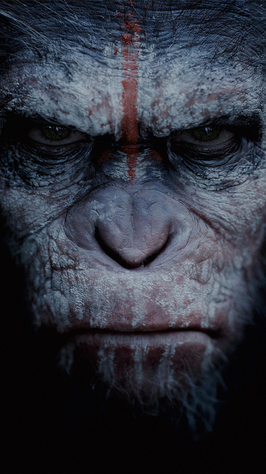 Ewolucja planety małp, planeta małp na iPhone'a Tapeta na telefon HD