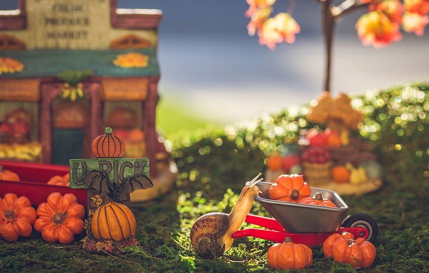 autumn, macro, toys, snail, garden, harvest, pumpkin, truck, the garden, bokeh, toy , section макро, autumn truck HD wallpaper