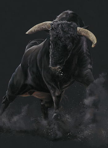 Angry bull HD wallpapers | Pxfuel