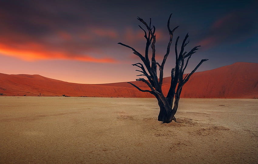 cielo, desierto, sequía, inconveniente ... goodfon, sukha fondo de pantalla