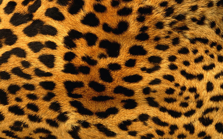 fondo de estampado de leopardo