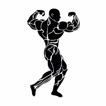 Body Builder Png  Bodybuilder Illustration Transparent Png is pure and  creative PNG image uploaded b  Body builder Body builder art Body  builder wallpaper art
