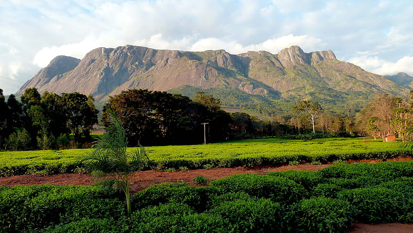 The Páramo of Malawi – Zambiricoco, mount mulanje HD wallpaper