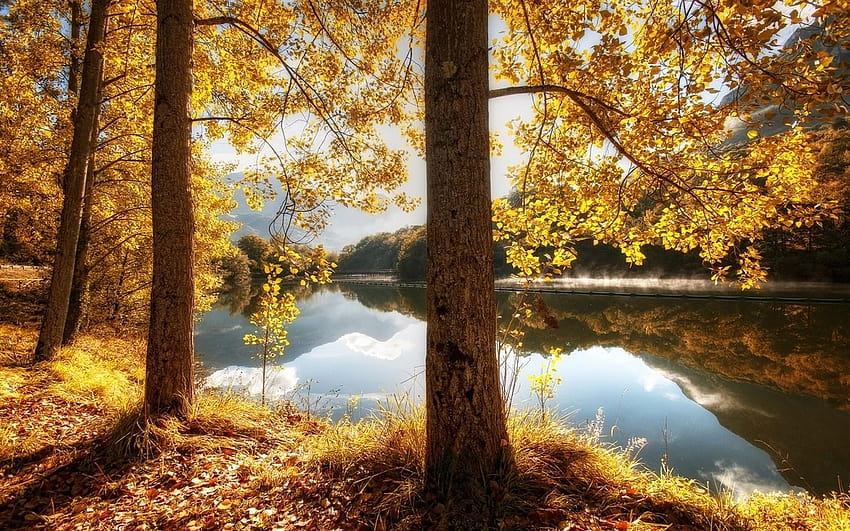 แม่น้ำ: Autumn Splendor Fall Colours แม่น้ำ น้ำ ต้นไม้ หมอก การสะท้อนสีของฤดูใบไม้ร่วง วอลล์เปเปอร์ HD