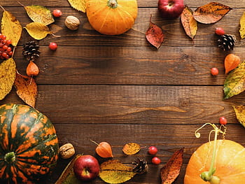 Amazing happy thanksgiving HD wallpapers | Pxfuel