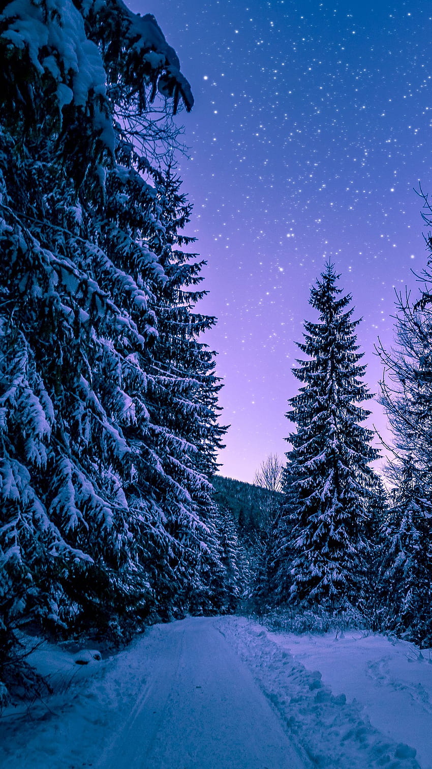 Winterlandschaft, gepostet von John Sellers HD-Handy-Hintergrundbild