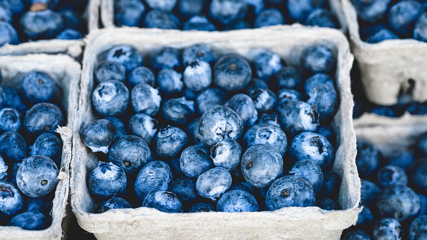 Fresh Blueberries, blueberry HD wallpaper