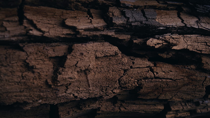 : Rocha, parede, madeira, textura, registro, Formação, árvore, material, Trevas, solo, geologia 3840x2160, Textura da rocha papel de parede HD