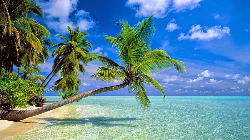 Insel Mauritius HD-Hintergrundbild