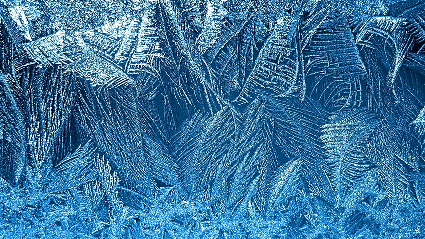 : nature, minimalism, sky, blue background, snow, winter, branch, ice, glass, frost, pattern, texture, zing, tree, 1920x1080 px, computer , organism 1920x1080, winter pattern computer HD wallpaper