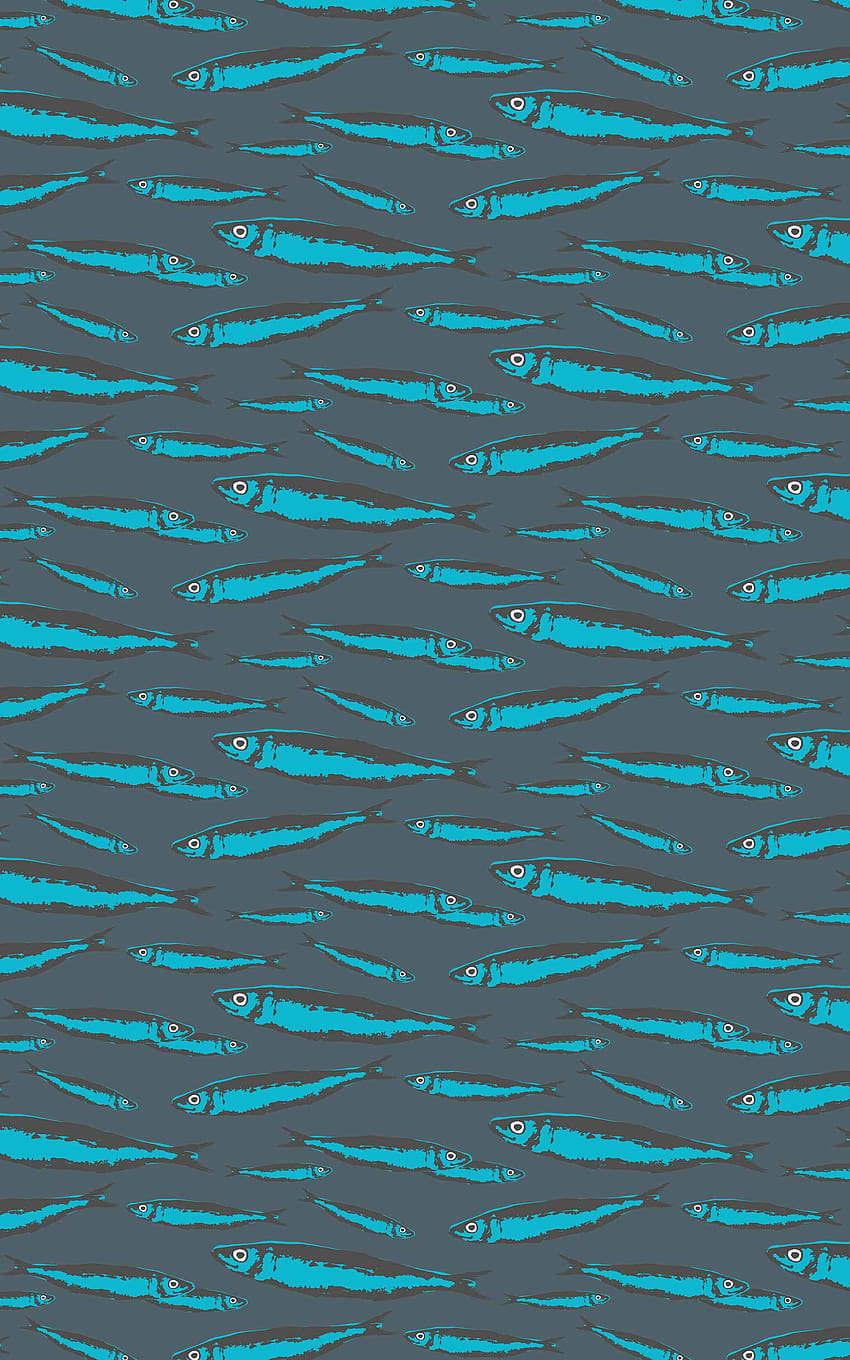 SARDINE CAN, sardines HD phone wallpaper