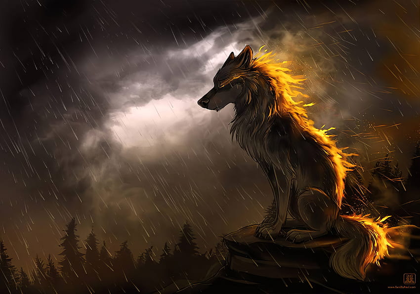 wolf's-rain