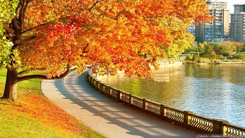 Herbst Kanada HD-Hintergrundbild