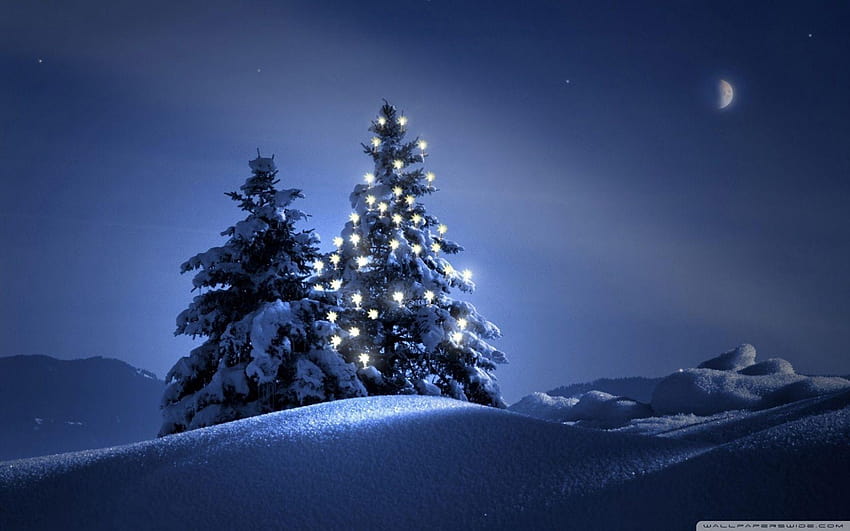 śnieżna świąteczna noc Tapeta HD