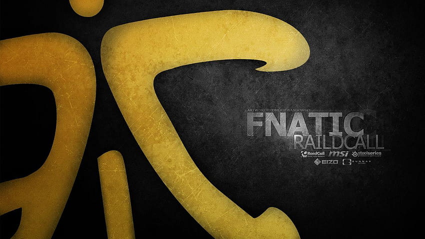 FNATIC: Fnatic have arrived HD wallpaper