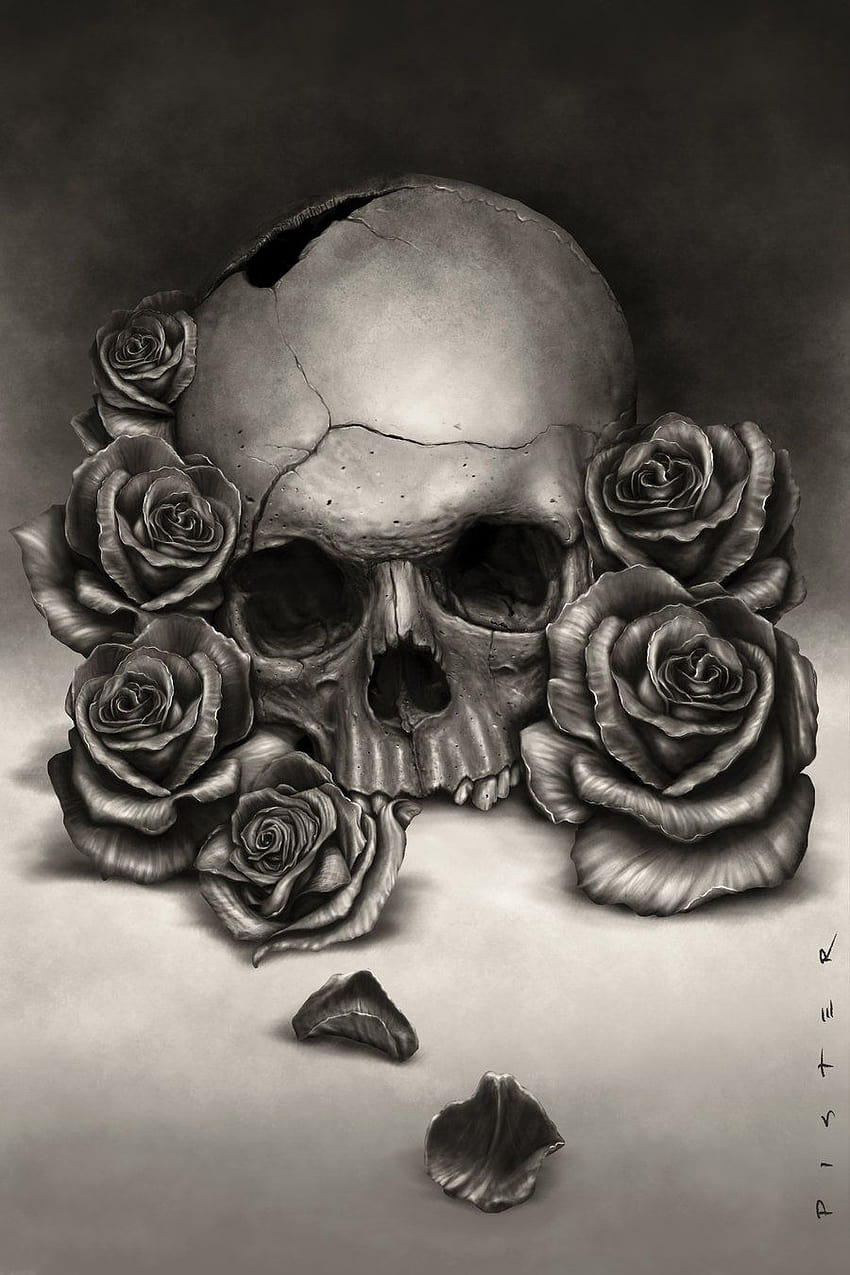 Skulls and Roses, skull rose mobile HD phone wallpaper