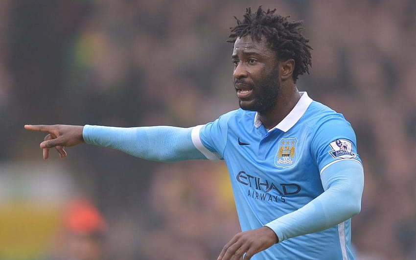 Stoke City launch late bid to sign Manchester City's Wilfried Bony HD wallpaper