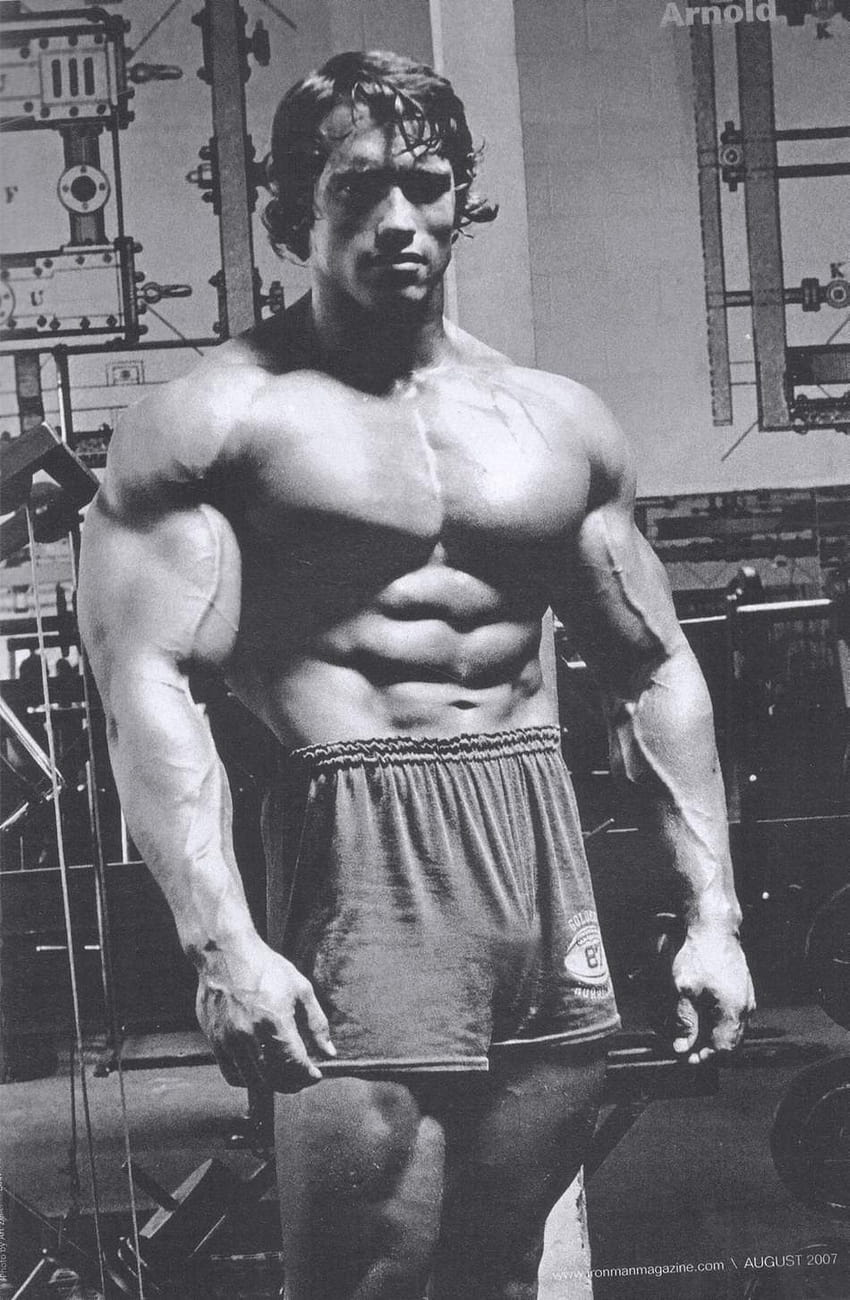 Arnold Schwarzenegger, arnold musculation Fond d'écran de téléphone HD