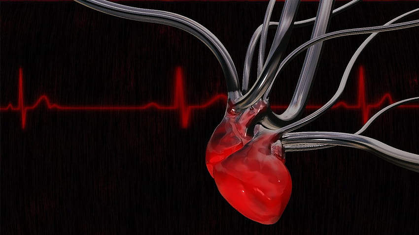 30 Anatomi, insanın kalbi HD duvar kağıdı