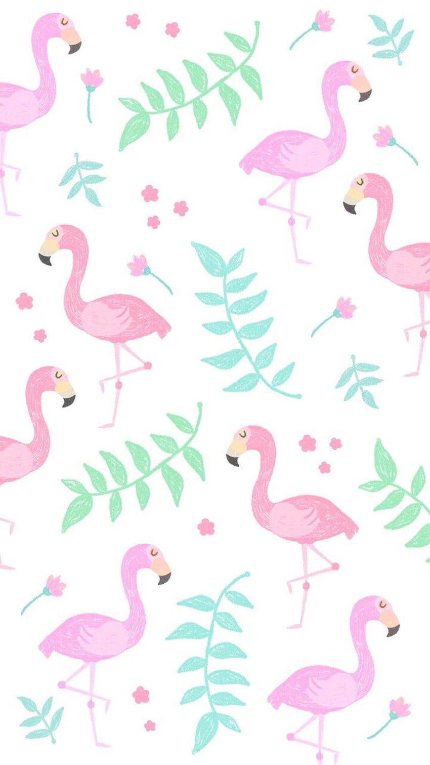 7 Cute Pink, flamingo pink HD phone wallpaper