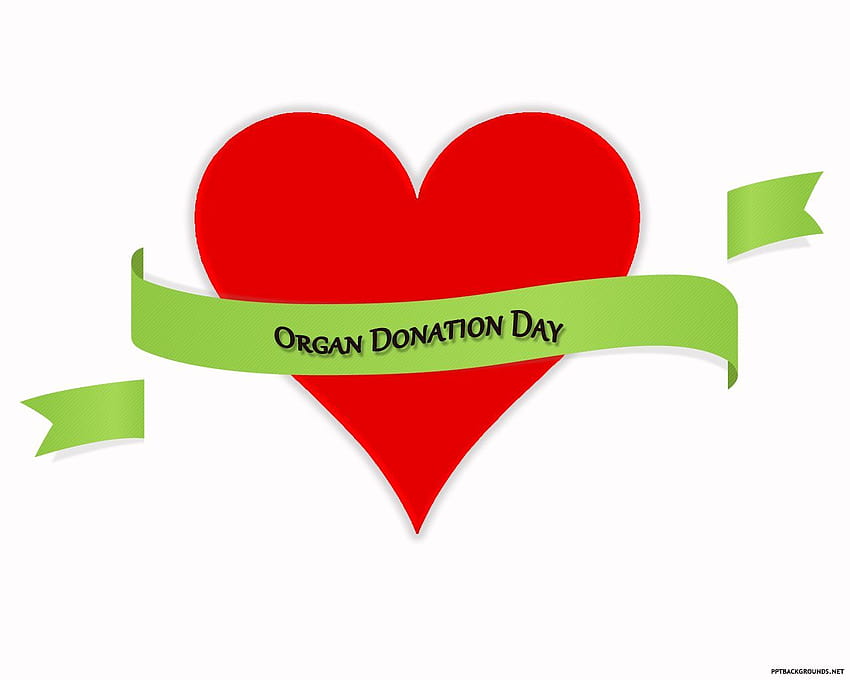 Organ Donation Day HD wallpaper