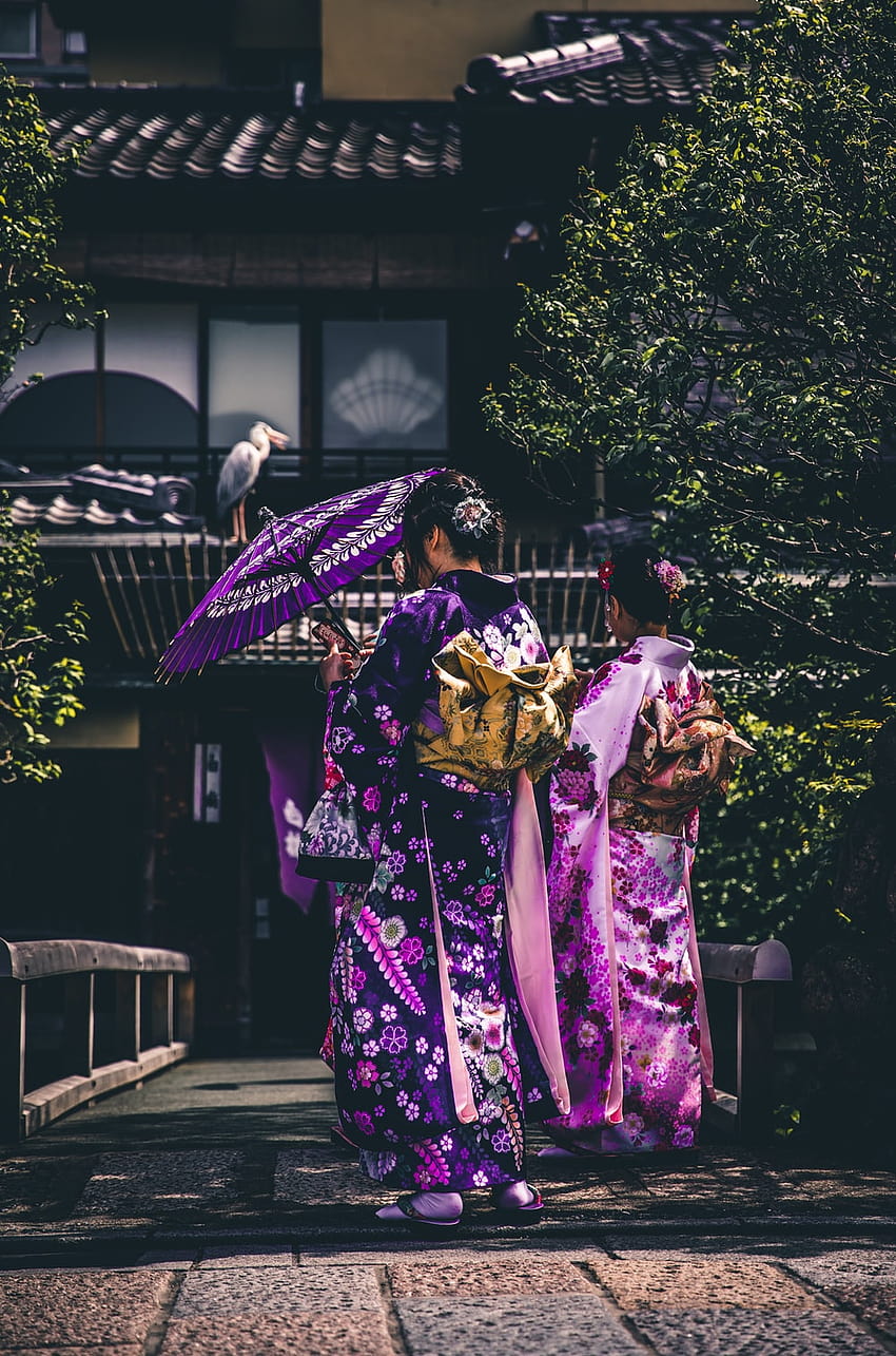 two women in purple and pink kimono – Japan, japanese women umbrella HD phone wallpaper
