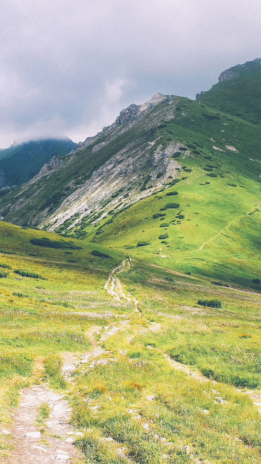 Escursionismo iPhone, sentiero di montagna Sfondo del telefono HD